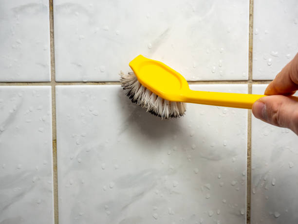 Best Home Mold Removal  in Landing, NJ