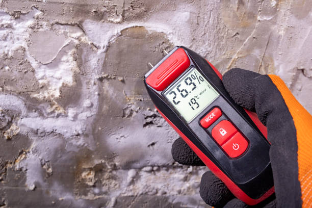 Home Mold Removal in Landing, NJ