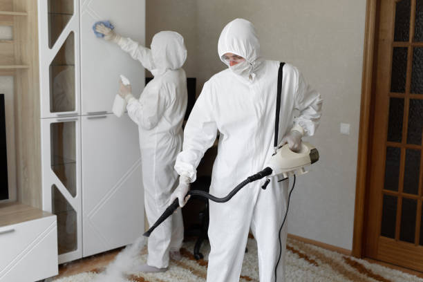 Best Attic Mold Removal  in Landing, NJ