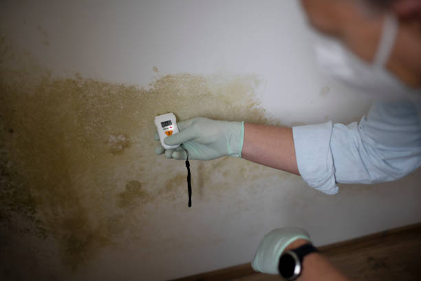 Best Office Mold Removal Services  in Landing, NJ